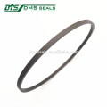 bronze PTFE rod seal ring for hydraulic cylinder sealing SPN